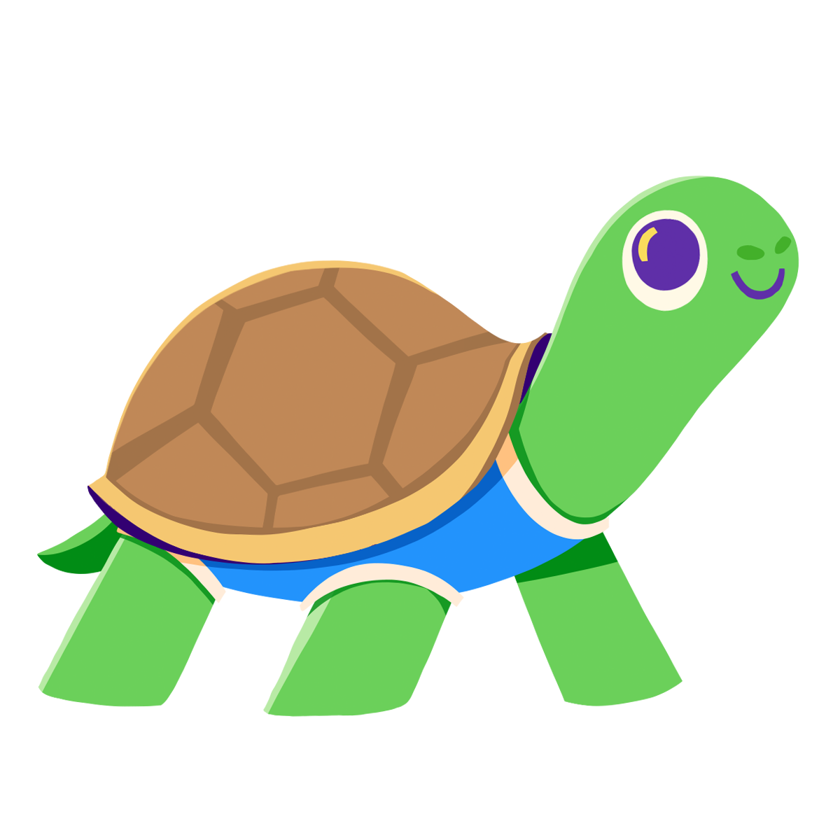 turtle.png