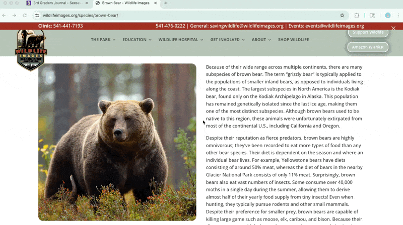 CleanShot 2025-05-30 at 09.46.23.gif